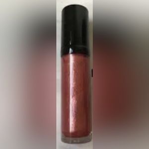 3 PCS OF FIREBRICK LUXURY LIPGLOSS DISCONTINUED COLOR FROM PRO MUA COUNTER!!!
